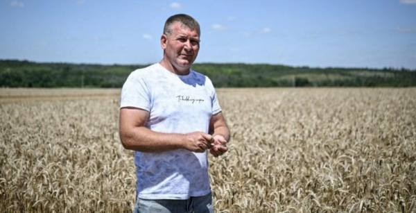 Фермери півдня ховають зерно від ворожих ракет: безпека понад усе