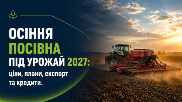 Румунія жнивує: пізня сівба озимих принесла рекордні врожаї пшениці та ріпаку