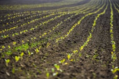 Чому світ стоїть на порозі глобальної кризи: розбір причин