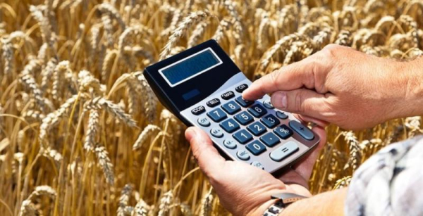 Молдова скорочує залізничні тарифи на 50% для українського зерна
