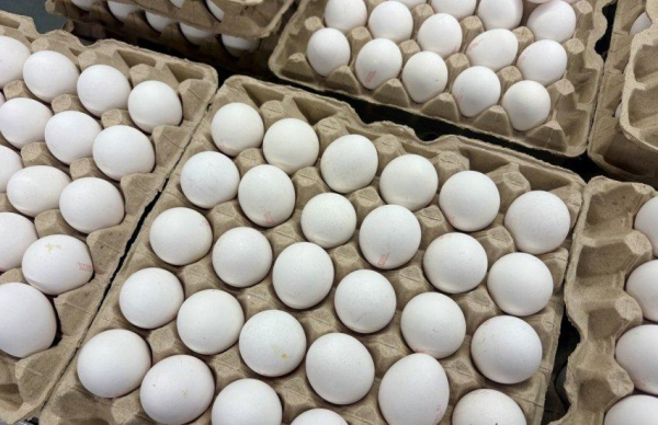 Яйця дорожчають: логістика може підняти ціну ще на 15%