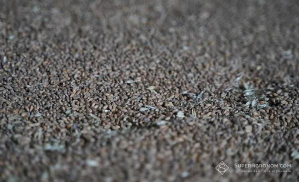 Логістичні злами зерна: чому ціни не злетять