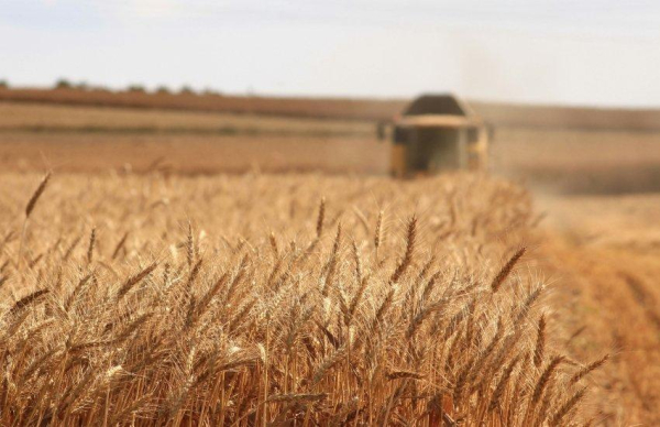 Аграрії України: 80 мільярдів пільгових кредитів на порятунок посівної завдяки новій програмі
