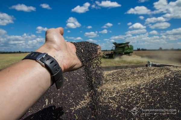Жнива-2026 на Кіровоградщині: урожайність усіх ранніх культур перевищила торішню