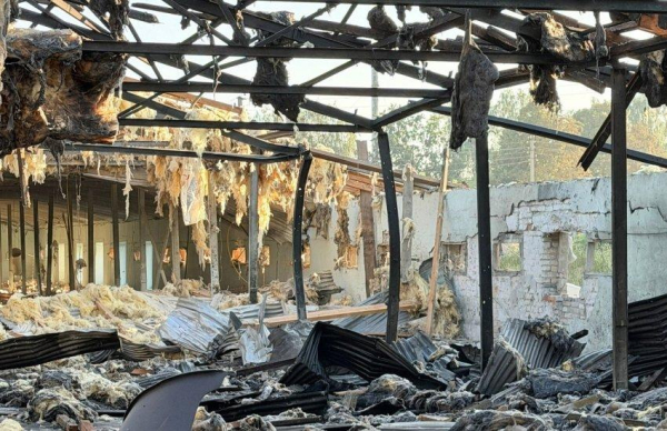 Атака РФ: на Чернігівщині знищено пташник, загинули десятки тисяч курей