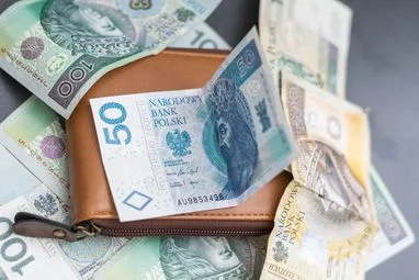 <i>У Польщі для комфортного життя потрібно близько 5 тисяч злотих на місяць</i>