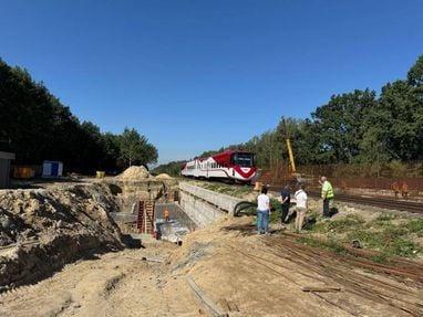 Митниця запускає нову систему: готуйтесь до змін