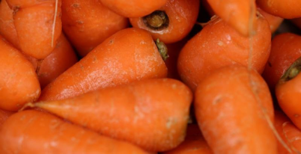 Українські фермери розпродують моркву: ціна впала на 10%
