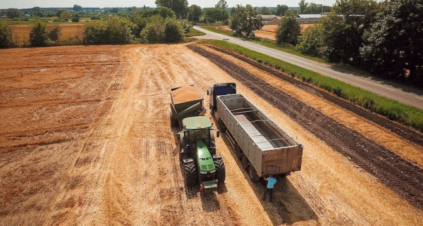 Cygnet Agrocompany окреслила майбутнє посівних площ та прогнозує врожай цього року