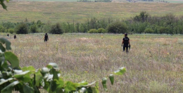 Розмінували 210 га угідь: Україна прискорює підготовку полів до посівної
