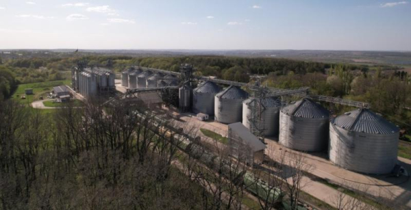 Елеватори підняли ціни на зберігання зерна: детальний аналіз здорожчання