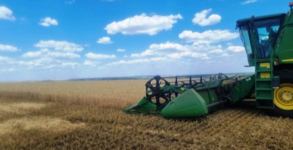 На Донеччині: 60% ранніх зернових зібрано всупереч обстрілам