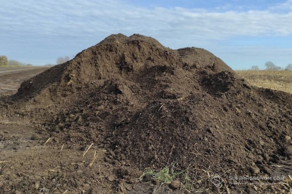 Скіф” оживляє ґрунт: як гній долає залежність від мінеральних добрив