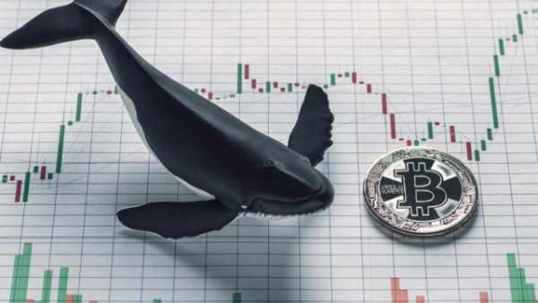 Кит Біткоїна з 2011 року прокинувся: заробив $10 млн