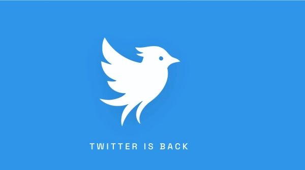 Twitter відроджується: нова соцмережа змагається з Маском під знайомим брендом