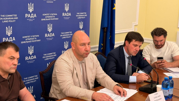Українське зерно зберігатимуть: аграрії отримують $10 млн від міжнародних партнерів