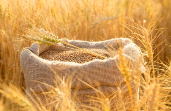 Український агроекспорт упав на 57%: морська логістика на межі зупинки