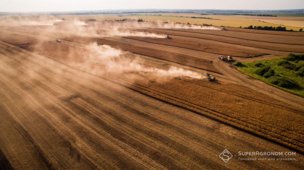 Агрохолдинги завершили збір ранніх зернових: МХП, ТАС Агро та ІМК звітують про успіх