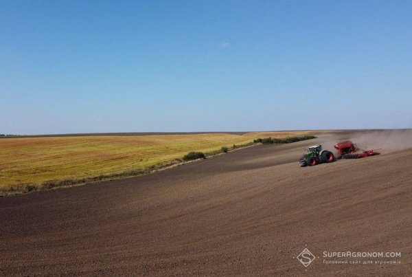 Україна скоротить посіви на 20%: експорт зерна під загрозою