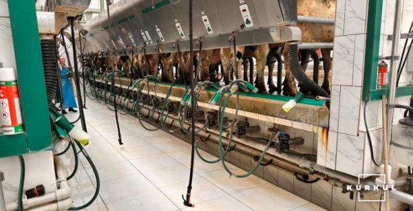 Credit Agricole автоматизує кредитування молочних ферм: новий вектор розвитку