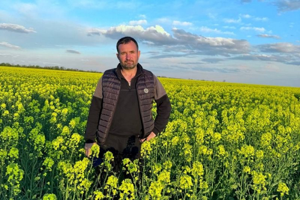 Прямою обробкою — до максимальної вологи: ріпак на Миколаївщині потребує інноваційного підходу до ґрунту