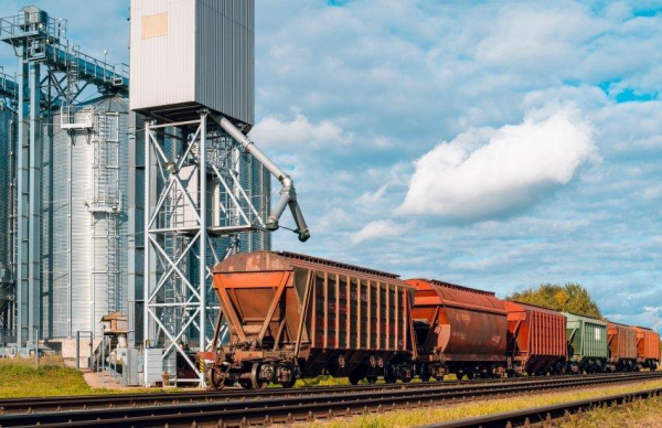 Українські фермери прискорили вивезення зерна: ключові залізничні маршрути запрацювали в 2,3 раза активніше