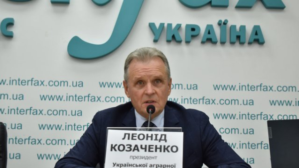 Україна мусить пришвидшити переговори з ЄС та Туреччиною для порятунку експорту зерна