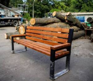 Дерева з Теремків отримають друге життя: «Київзеленбуд» перетворить їх на нові зелені зони