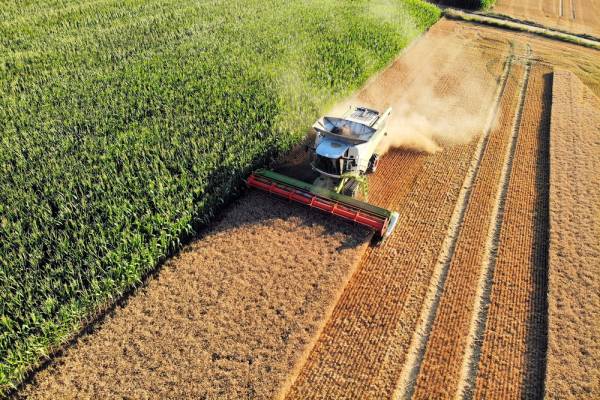 Агроекспорт України злетів на 40% у вересні: детальний аналіз