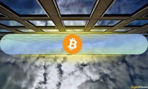 Інституційні інвестори не зменшують позиції в Bitcoin, попри падіння на 50%