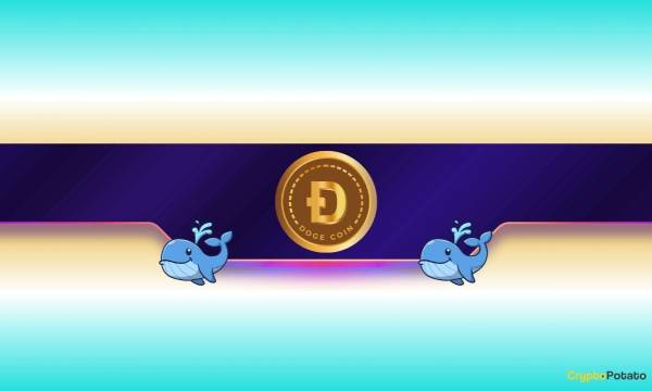 3 причини, чому Dogecoin (DOGE) готується до стрімкого зростання