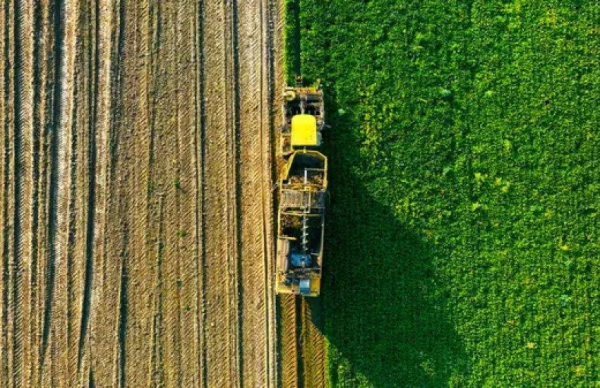 Агросектор втратив $11 мільярдів: Висоцький розкриває масштаби збитків від війни