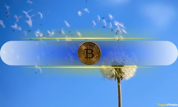 Тиждень бив по Bitcoin, але чому BTC знову штурмує $80 тисяч?