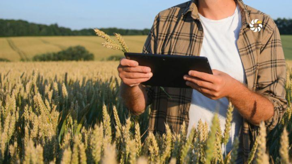 Activitis та WEAGRO запускають інноваційні аграрні ноти для підтримки фермерів