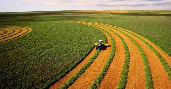 Земля в Україні: ціна стрімко злетіла до 74 тис. грн за гектар