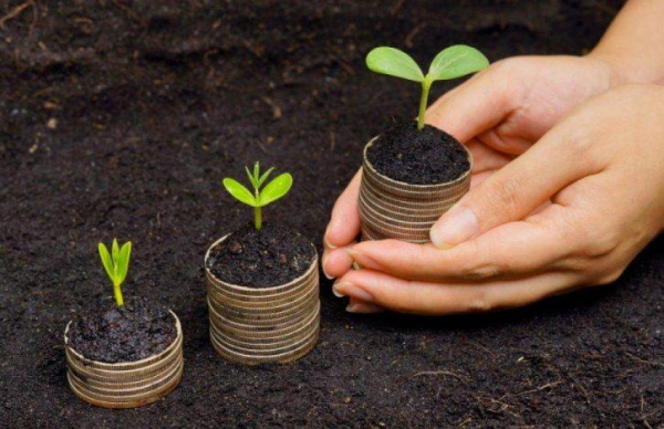 Земля в Україні: ціни стрімко падають, але чи варто купувати зараз?