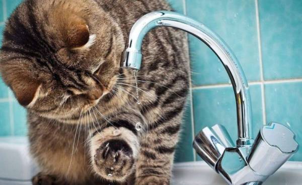 Масштабне відключення води у Дніпрі 5 вересня: дізнайтесь, чий район опиниться без водопостачання