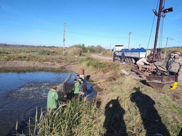 Нове керівництво чекає на Іркліївський риброзплідник: хто очолить заклад?