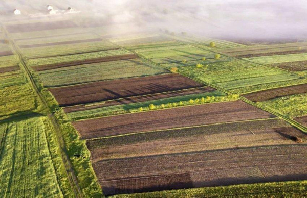 Чому ціни на оренду землі в Україні перестали зростати з липня
